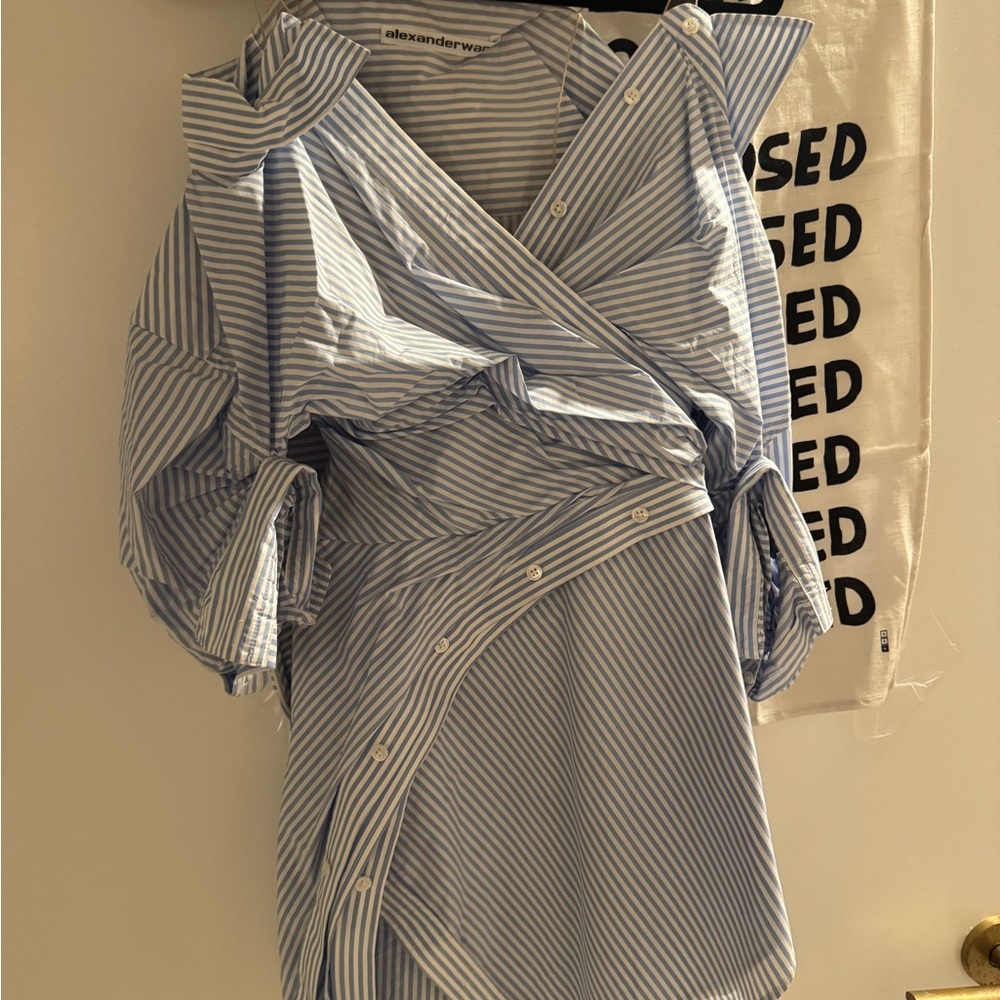 Alexander Wang Blue Striped Blouse